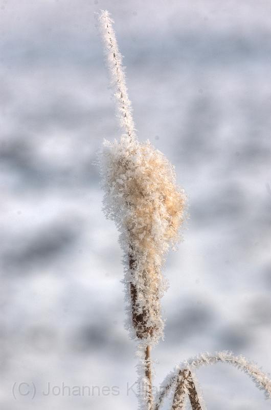 20090111_121417-e0_tonemapped.jpg