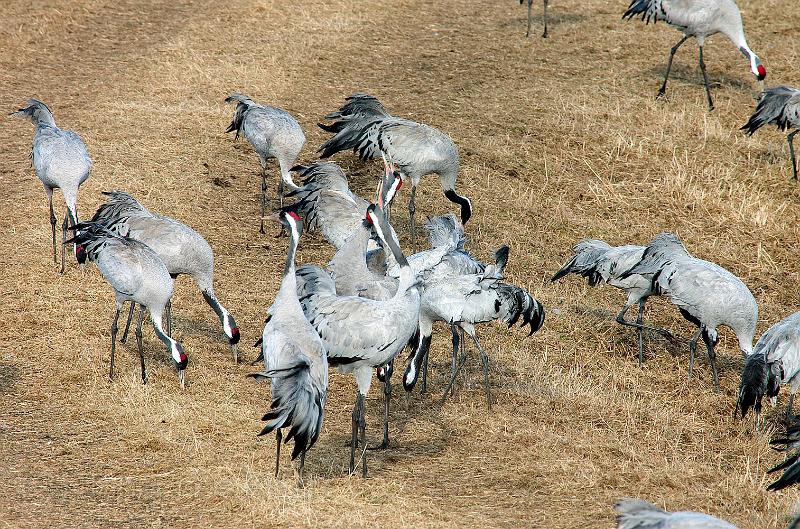 20080328_164041-e0.jpg