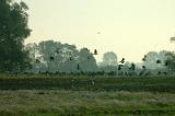 20070930_080013-e0