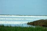 20070930_183331-e0