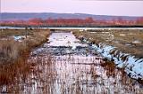 20080326_192413_04-e0-bibble