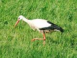 20050505_164742_89-e0-Web