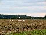 20070908_144526_30-e0-Web