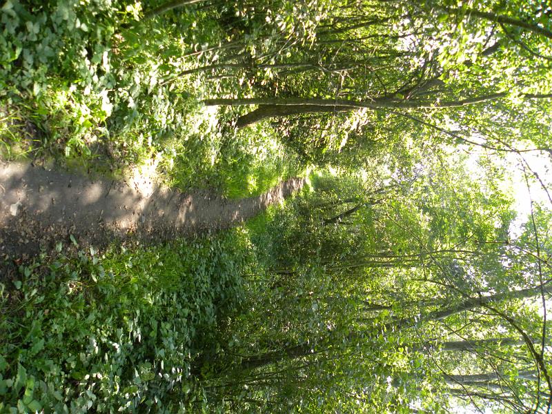 20090820_140219.JPG