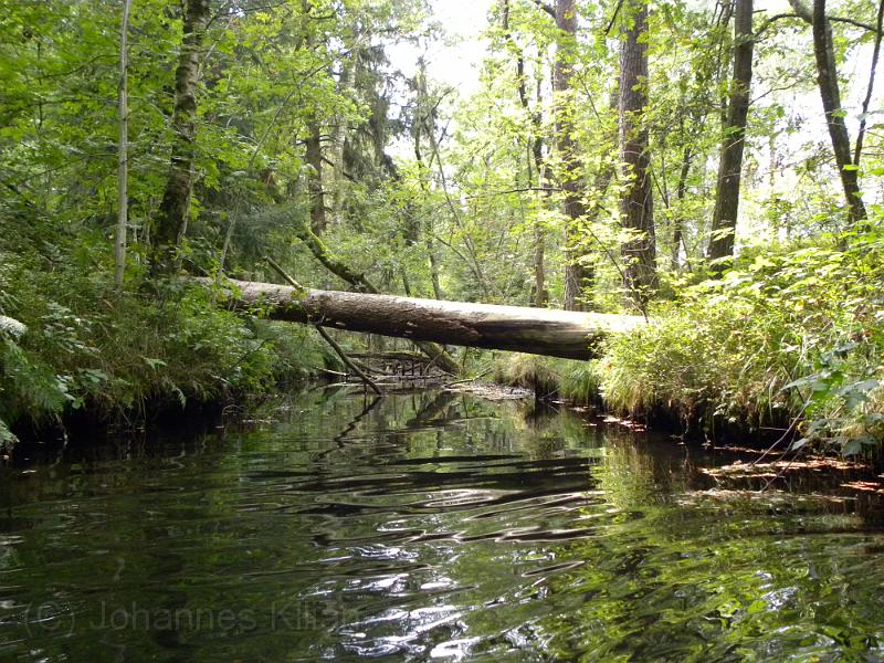 20090821_144217.JPG