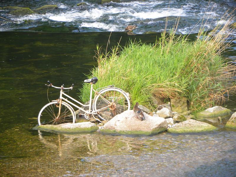 20090825_101942.JPG