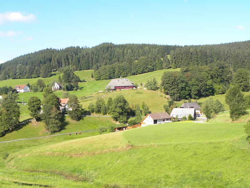 20090827_103635.JPG