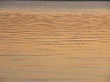 20090823_201120
