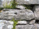 20040526_143649-e0b-Web