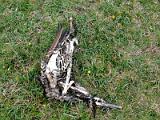 20040607_122255-e0b-Web