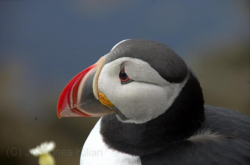 20100722_112932_v2-e0-bibble.jpg