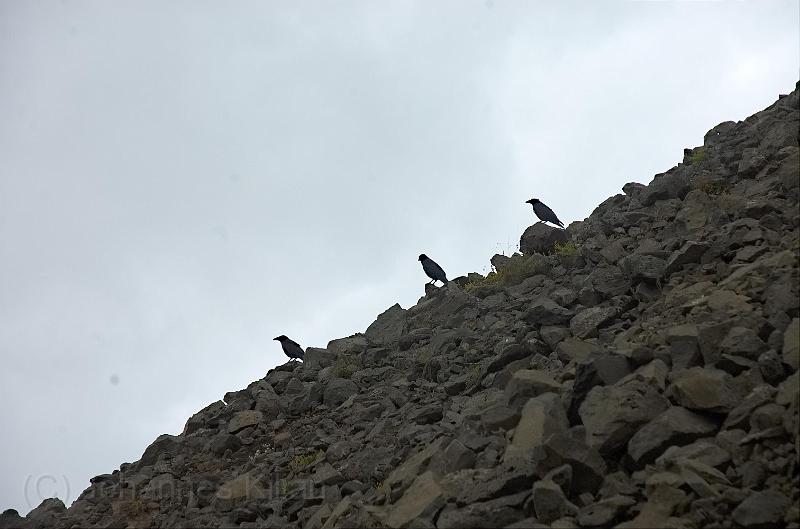 20100722_122405-e0-bibble.jpg