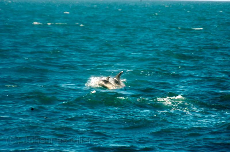 20100725_182040_01-e0-bibble.jpg