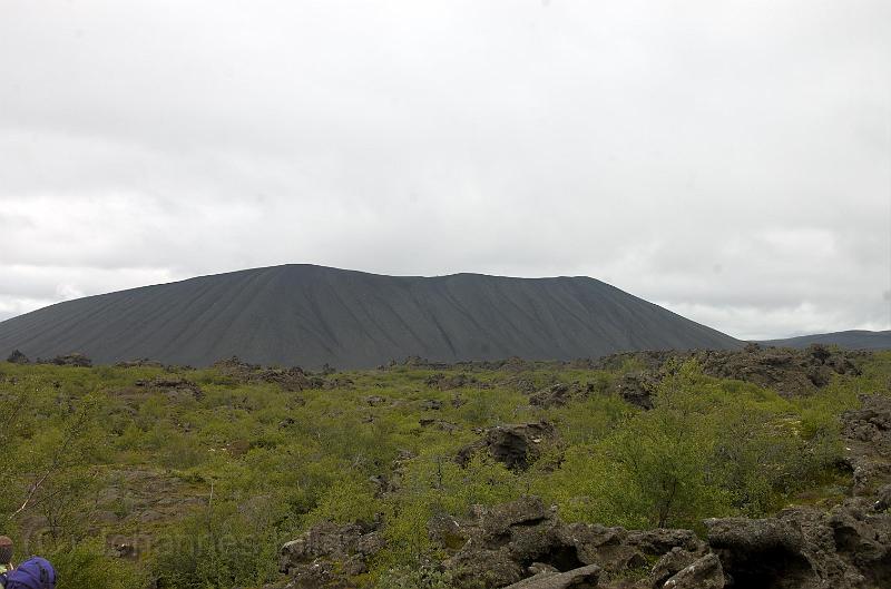 20100728_104106-e0-bibble.jpg