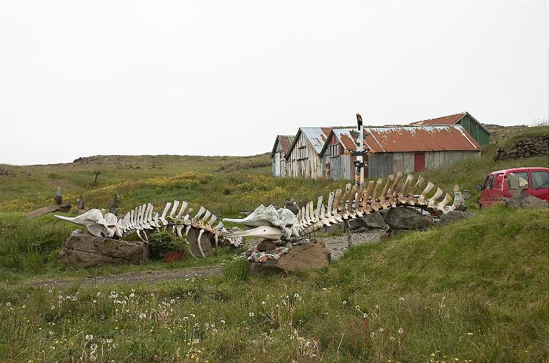 20100731_085444-e0-bibble.jpg
