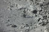 20100717_164029_04_v2-e0-bibble