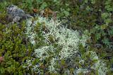 20100728_104644-e0-bibble