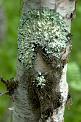 20100728_145102-e0-bibble