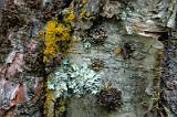 20100728_145712-e0-bibble