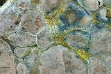 20100728_171416-e0-bibble
