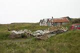 20100731_085444-e0-bibble