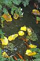 20051228_155928_18-e0